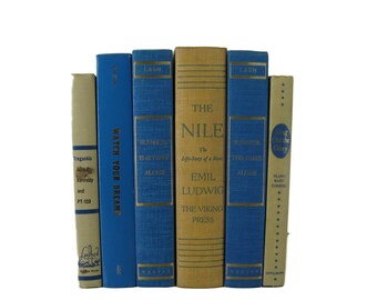 French Country Decor, Rustic Decor, Blue Tan Decorative Books, Literary Gifts, Photo Props , Vintage Wedding Decor