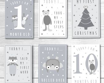 Baby Milestone Cards Printable PDF Print At Home Grey White Unisex Baby Shower Gift Animal Cute