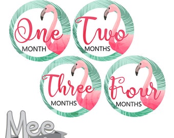 Flamingo baby month stickers,Baby Girl Month Stickers Monthly Baby Stickers Milestone Baby Month Stickers Baby Girl summer Baby Shower Gift