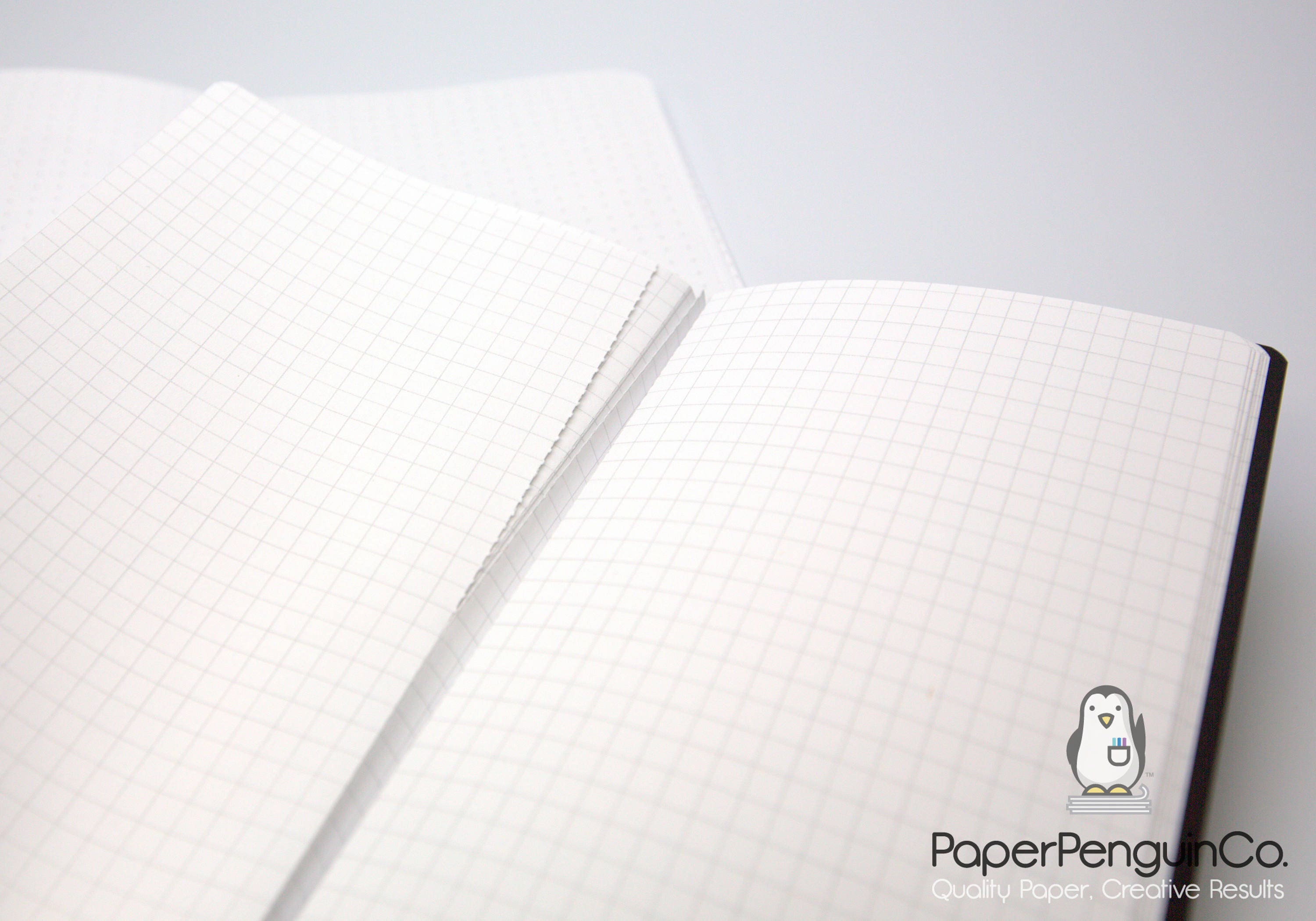 Perforated Notebook Paper