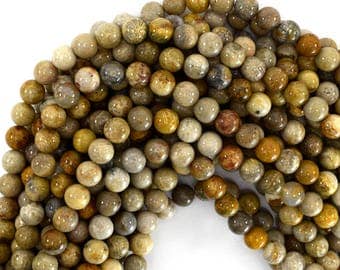 8mm fossil coral round beads 15.5" strand 39223