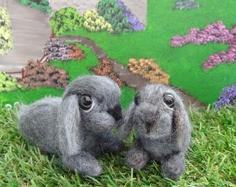 Lop Eared baby bunny