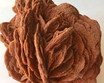 Selenite, Desert ROSE PETALS! Sand Rose, Morocco Rocks, Minerals and Crystals / 140g