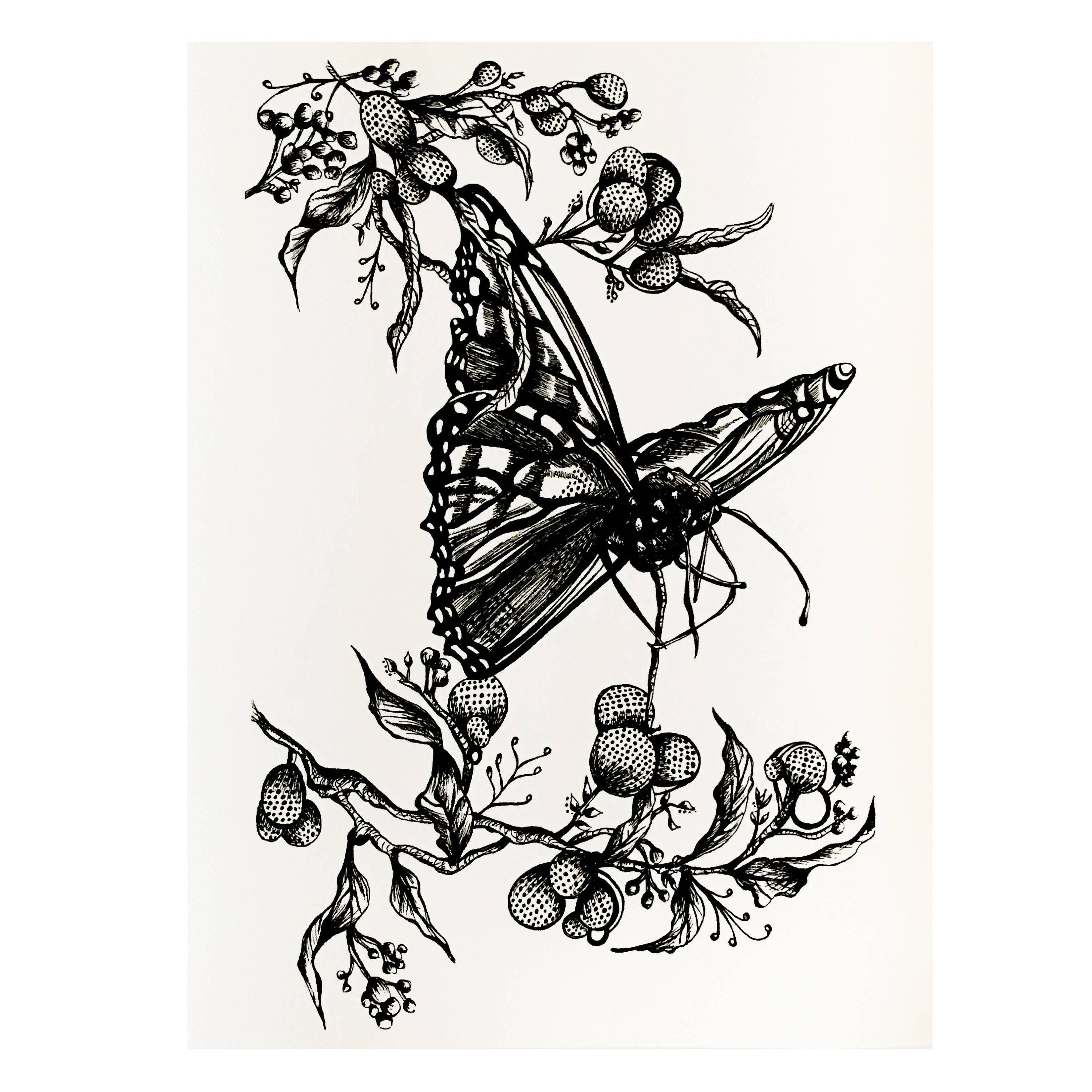 Butterfly Pen Illustration Branch Pen and Ink Insect