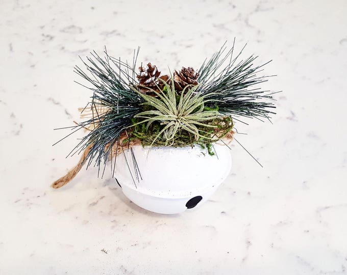 Tillandsia White Bell Christmas Ornament -  MADE TO ORDER