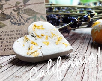 California Wildflower Seeds, Botanical Seed Bombs ™, California flowers, Unique Wedding Favors, DIY Favors, 150, Gardening favors, Garden