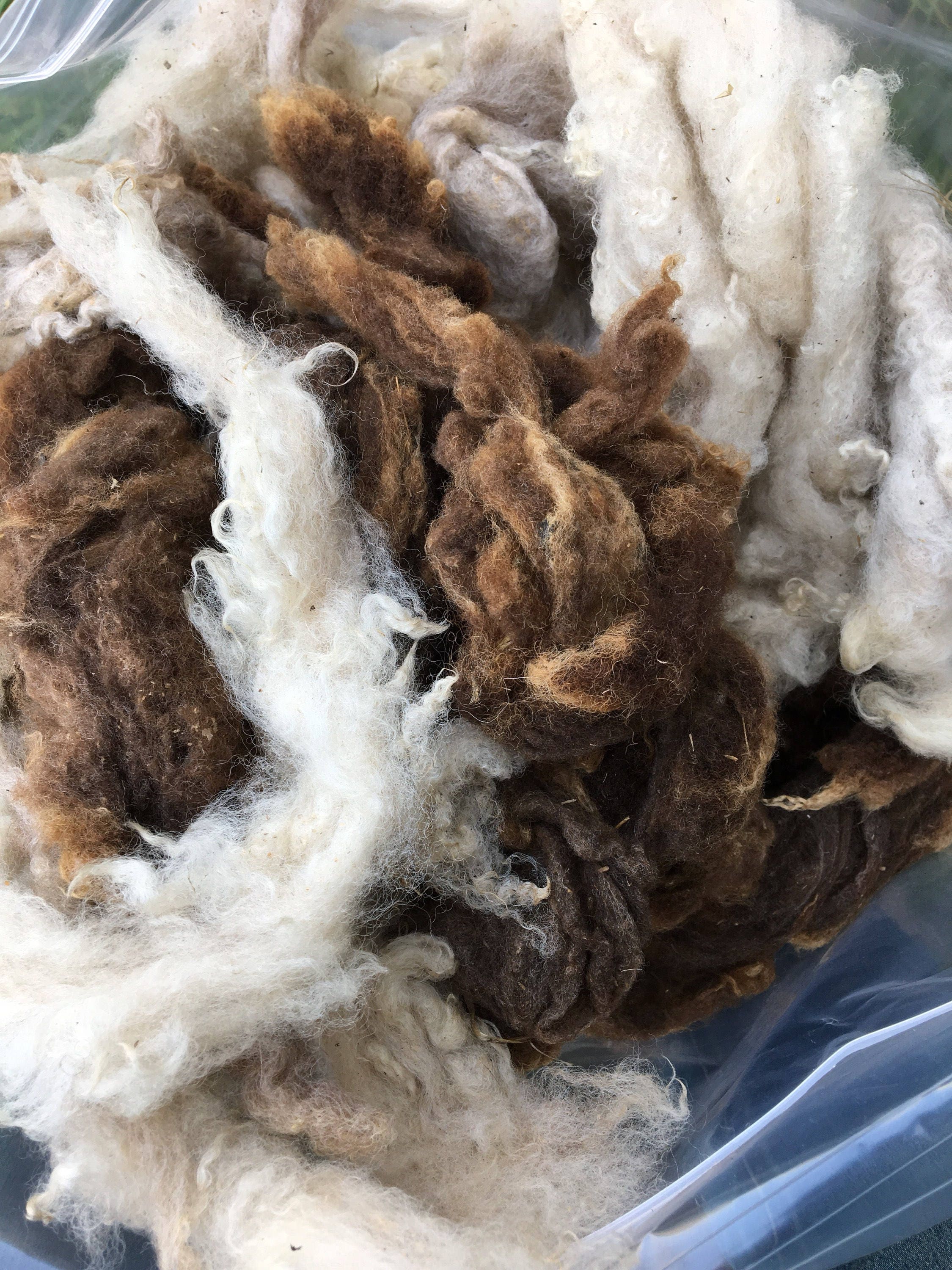 Sheep wool for stuffing washed to remove barnyard odor 4 ounces from