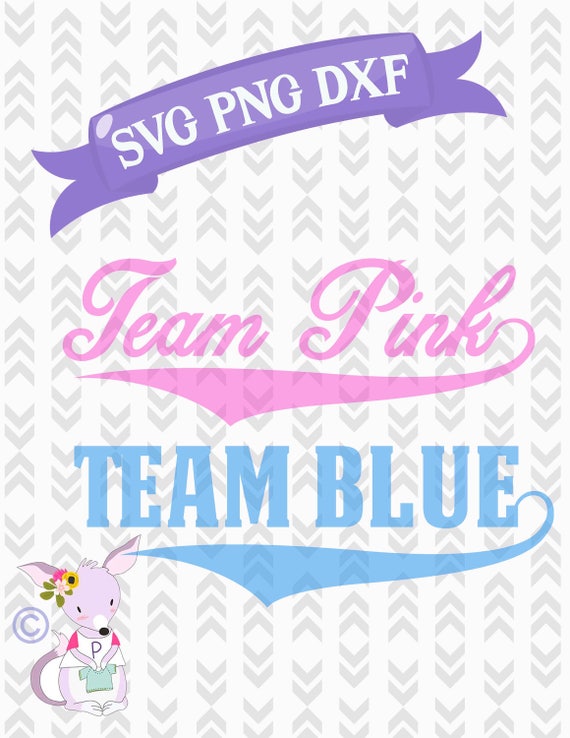 Download Team Pink Team Blue Gender Reveal SVG Cut Files Baseball