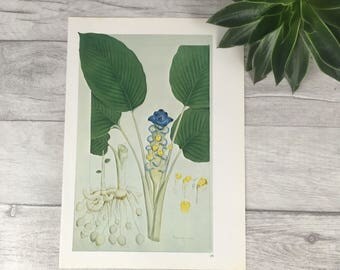 vintage dorm decor | etsy vintage dorm decor | etsy