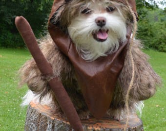 Adorable varigated Brown Woodland Dog Halloween Costume with hood