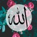 dollyhijabi