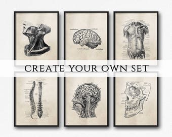 Human Anatomy Art Prints - Science - Vintage Art - Biology - Medical Student Gift - Doctor's Office - Graduation Gift - Brown - Custom Set