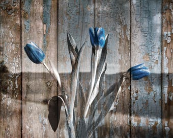 Rustic Brown Blue Home Decor Tulip Flowers Modern Wall Art Matted Picture Rustic Brown Blue Home Decor Tulip Flowers Modern Wall Art Matted Picture