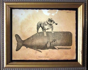 English Bulldog Riding Whale - Vintage Collage Art Print on Tea Stained Paper - Vintage Art Print - Vintage Paper