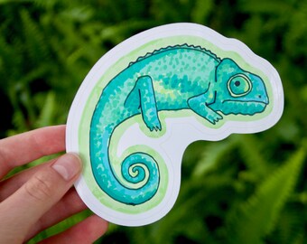 Skeptical Chameleon Bumper Sticker – 4.5"x4" | Vinyl Waterproof Sticker | Car Sticker | Laptop Sticker | Outdoor Sticker | Cool Sticker