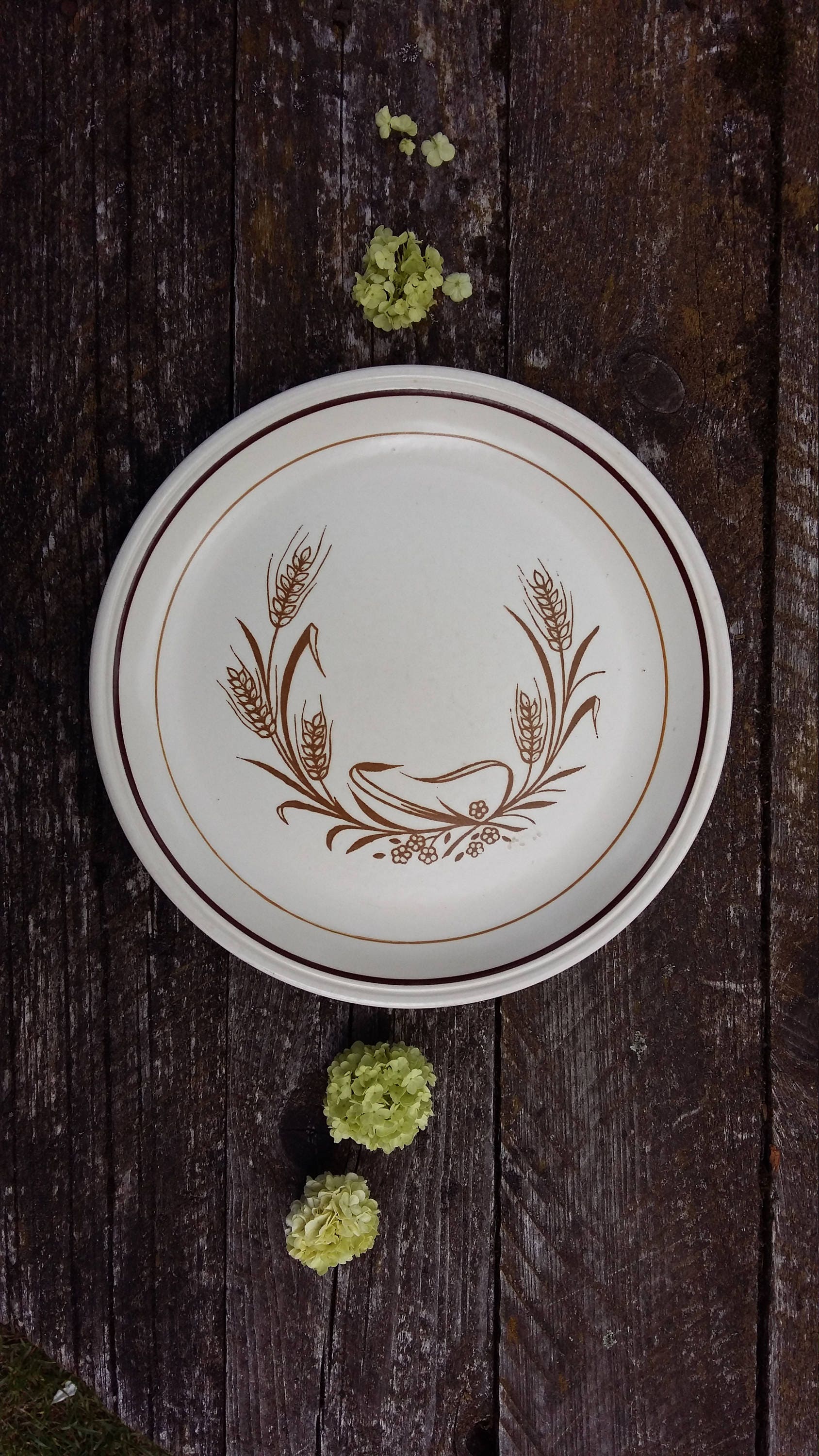 retro-plate-old-english-ironstone-old-vintage-stoneware