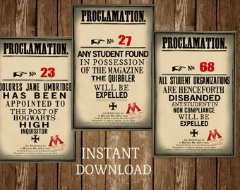 Realistic Harry Potter Proclamations Dolores Umbridge