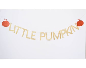 little pumpkin banner, pumpkin birthday, pumpkin decor, halloween party, pumpkin baby shower, baby shower banner, pumpkin party, lil pumpkin