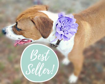 Fabric Rose Dog Collar Flower - Pet Accessory - Dog Flower Girl - Dog Accessories - Cat Acessories - Dog Wear - Dog Wedding - Dog Corsage