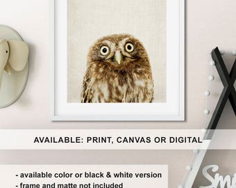 Woodland Wall Decor owl wall decor | etsy Woodland Wall Decor owl wall decor | etsy