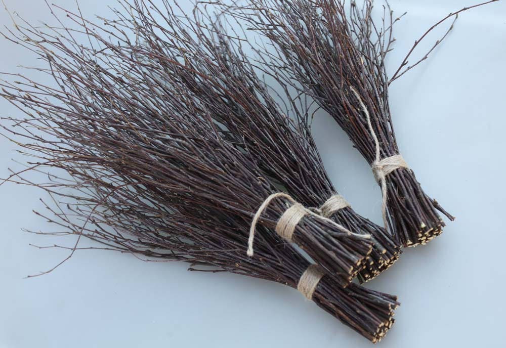 4 bundles of birch twigs birch bark wedding decor birch tree 4 bundles of birch twigs birch bark wedding decor birch tree