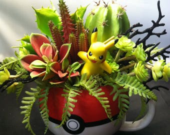 Pokemon succulent arrangement