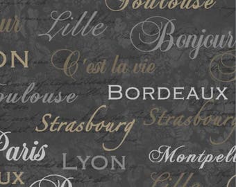 New French Words Fabric: C'est La Vie Phrase and Words French Paintbrush Studio 100% Cotton Fabric by the yard FQ102