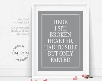 Here I Sit Broken Hearted funny bathroom print funny