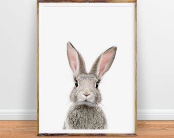 Printable rabbit | Etsy