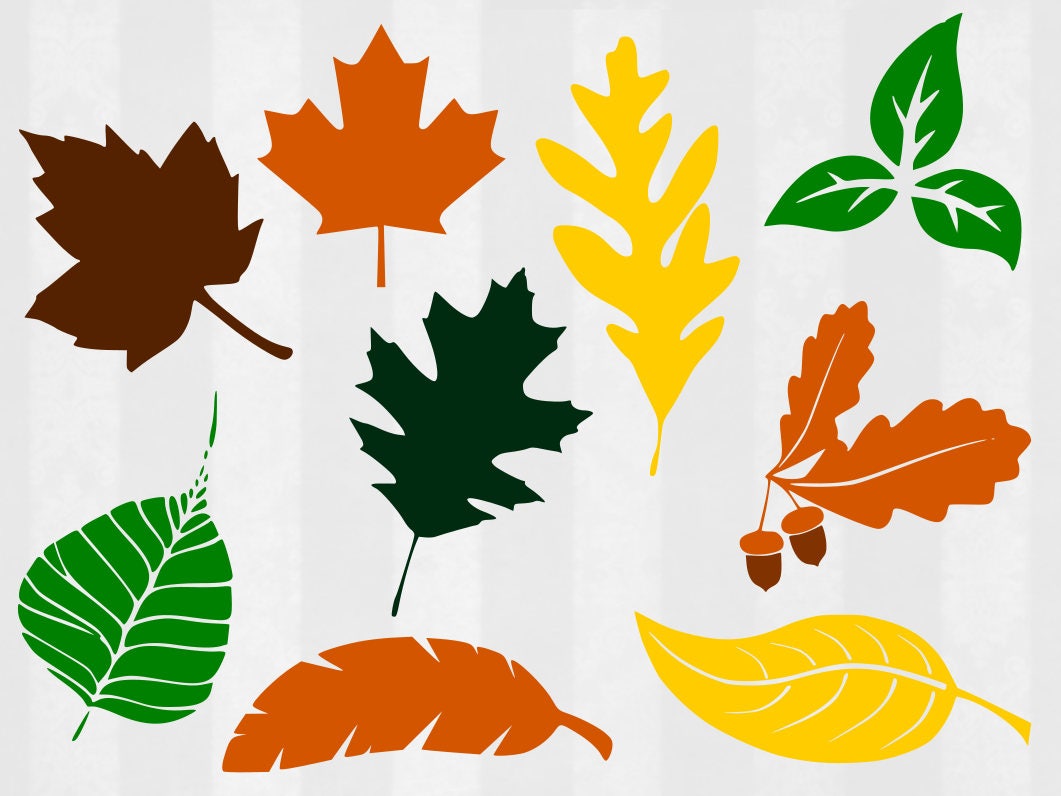 Download Fall Leaves SVG and Clipart Leaf svg leaves svg leaf cut