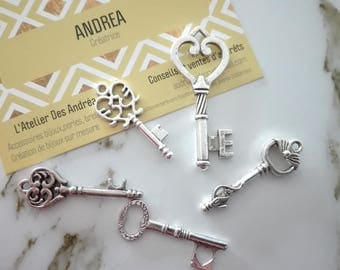 Set no. 7 ☆ / x 5 silver metal key / shapes mixtes☆
