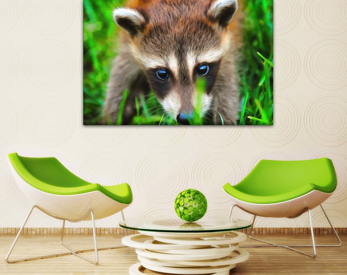 Cute Raccoon decor, Raccoon canvas, Сute canvas, Art Raccoon, zoo art, Interior decor, room design, print poster, art picture, gift
