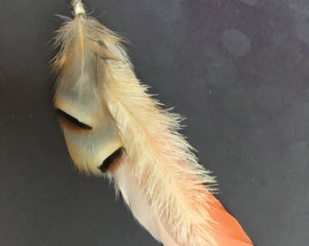 boucle d'oreille unique en plumes naturelles