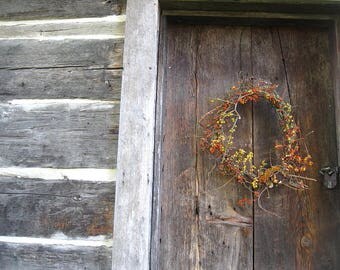 BITTERSWEET WREATH natural dried vine for fall