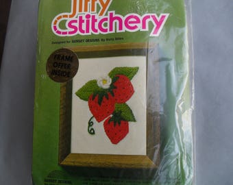 Jiffy Embroidery Needle Strawberries Stitchery Kit New