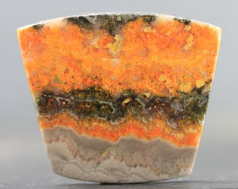 yellow and black jasper yellow and black jasper
