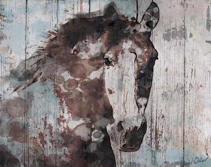 Wild Blue Horse. Extra Large Horse, Unique Horse Wall Decor, Brown Rustic Horse, Large Rustic Canvas Art Print up to 72" by Irena Orlov