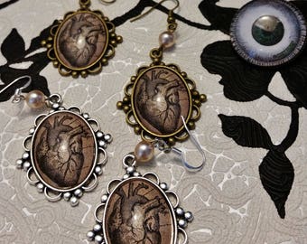 GALLITRAP Anatomic Heart bronze and Silver earrings.