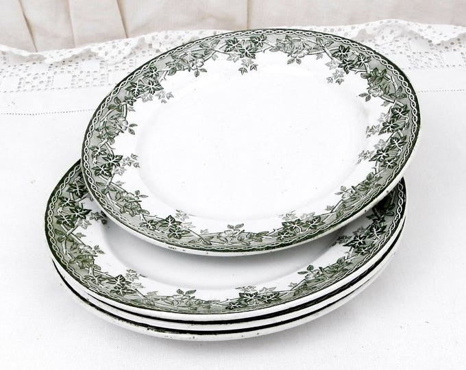 Antique French Ironware "Terre de Fer" St Amand et Hamage China Plate Dark Green Ivy and Wild Rose Pattern, Chateau, French Country Decor