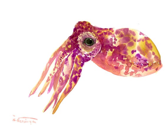 Squid One of a kind original watercolor painting 12 X