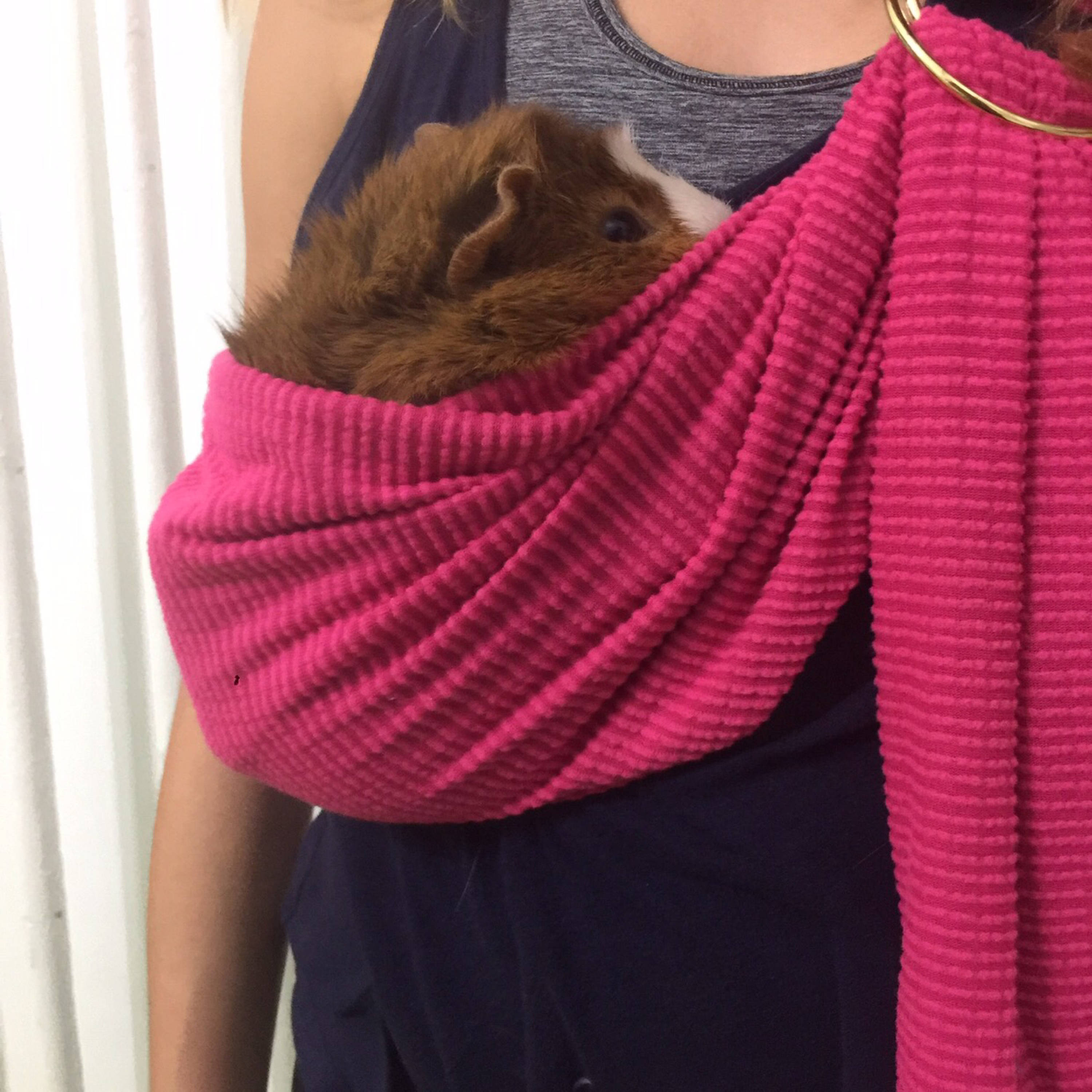 Adjustable Guinea Pig Sling handmade small Pet Carrier