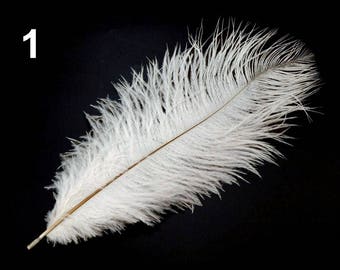1 beige ivory 25 cm 1 ostrich feather