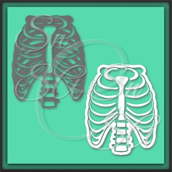 Download Bones SVG Skeleton Skull Feeling Ribs Rib Cage Doctor Nurse