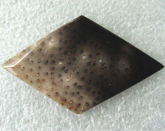 Palm Wood Designer Cabochon
