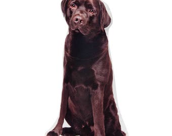 chocolate labrador pillow