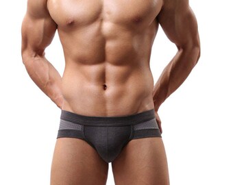 Men Sexy Underwear boxer Shorts FREE SHIPPING Gray Panties mesh Men's Underwear Sexy panties Men briefs