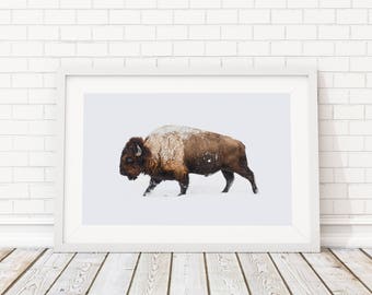 Buffalo Print/ Bison Print/ Printable Art/ Buffalo Wall Art/ Large Wall Art/ Animal Prints/Living Room Art/ Bison Photography/Bison Wall Art