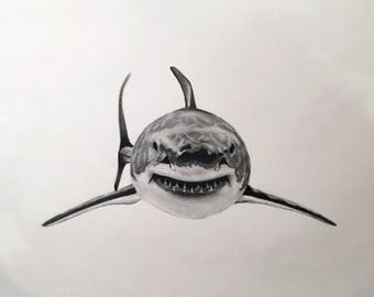 4' Great White Shark Sihouette Vinyl Decal