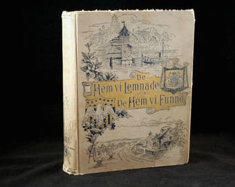 De Hem vi Lemnade och De Hem vi Funno, 1893 Swedish Hardcover Book, Antique Illustrated Book
