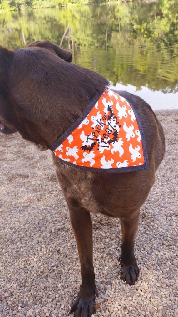 Halloween dog bandana reversible large dog bandana